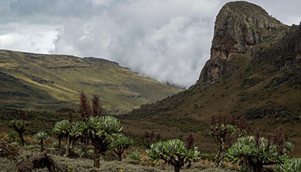 An image of Mont Elgon; Mount Elgon national park's main attraction