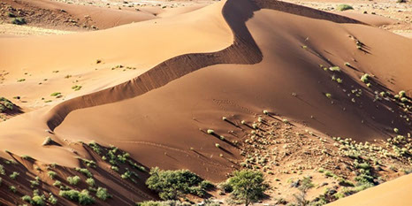 Namib-Naukluft park is referred to as the Namib Dersert Park in Africa