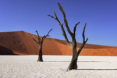An image of the Namib dersert in Namib-Naukluft Park in Namibia