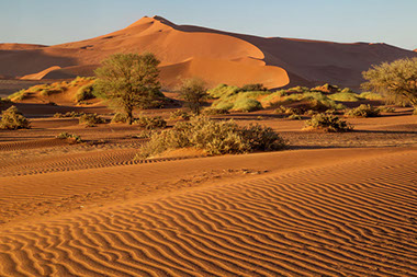 A unique place to be is the Namib-Naukluft Park in the Namib Desert