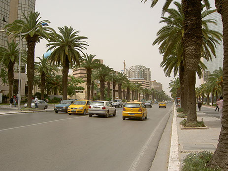 The Street view of Tunis City in Tunisia