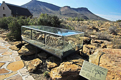 An image of the Karoo national fossil in Karoo National Park, South Africa.
