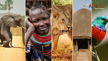 8day Wildlife, Nature, Cultural and City Life tourism event experience by Visit Africa