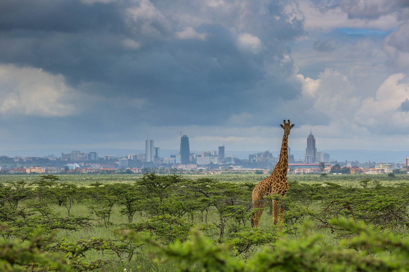 what is tourism like in kenya