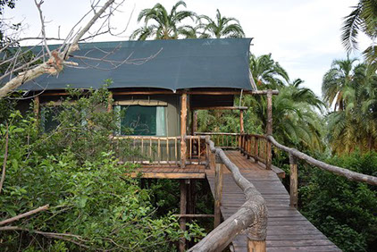 Nyungwe National Park has some beautiful accommodation options