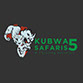 Logo Image of Kubwa Five Safaris Limited