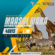 3Day Maasai Mara Wildlife, Nature and Urban-life Tour Adventure - October, 2020.