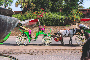 A Caleche in Marrakesh City, a unique transport means to get around the city