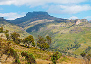 An image of  the vegetation and geography of Mount Elgon National Park