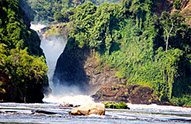 A stanning image of Murchison Falls part of Murchison Falls National Park