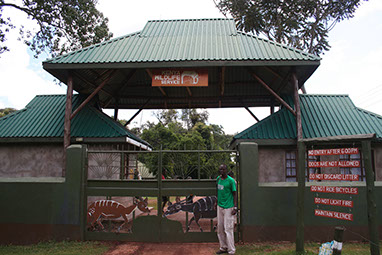Image of Saiwa Swamp National Park Entrance, Kenya