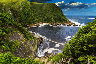 A breathtaking scenery of Garden Route National Park, South Africa