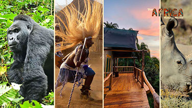Visit Rwanda's Breathtaking Wildlife, Nature, Culture, and Gorilla Tourism Experience