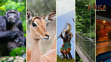 Visit Rwanda's Epic Wildlife, Nature and Cultural Tourism Experience