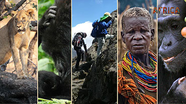 11day Wildlife, Nature, Cultural, Gorilla and Chimpanzee tourism event experience by Visit Africa