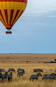 This tourism event is filled with breathtaking wildlife encounters in Africa's savannah and plains