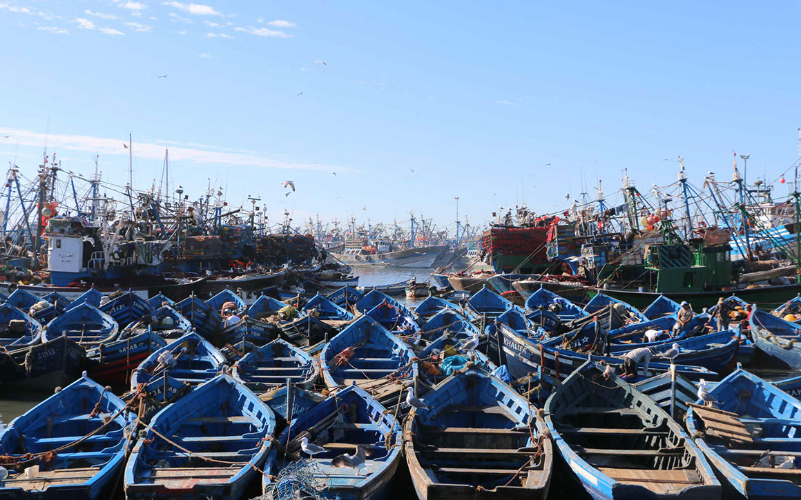Small and Big Boats docked at the Essaouira Harber, Marocco