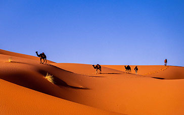 Saharan Morocco is a vast desert region dividing Morocco and Algeria