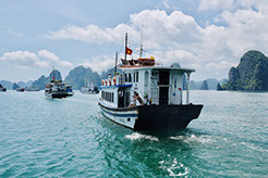 Tourist enjoying boat cruise drive and wildlife