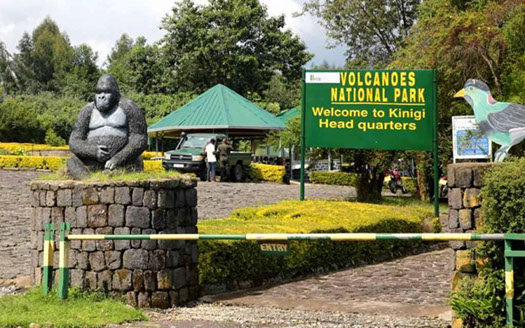 Volcanoes National Park is Rwanda's most popular national park, due to it's unique wildlife of mountain Gorillas.
