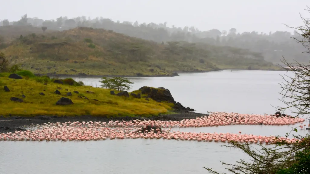 Arusha National Park