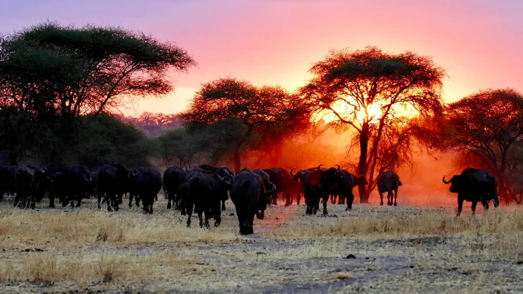 Arusha National Park