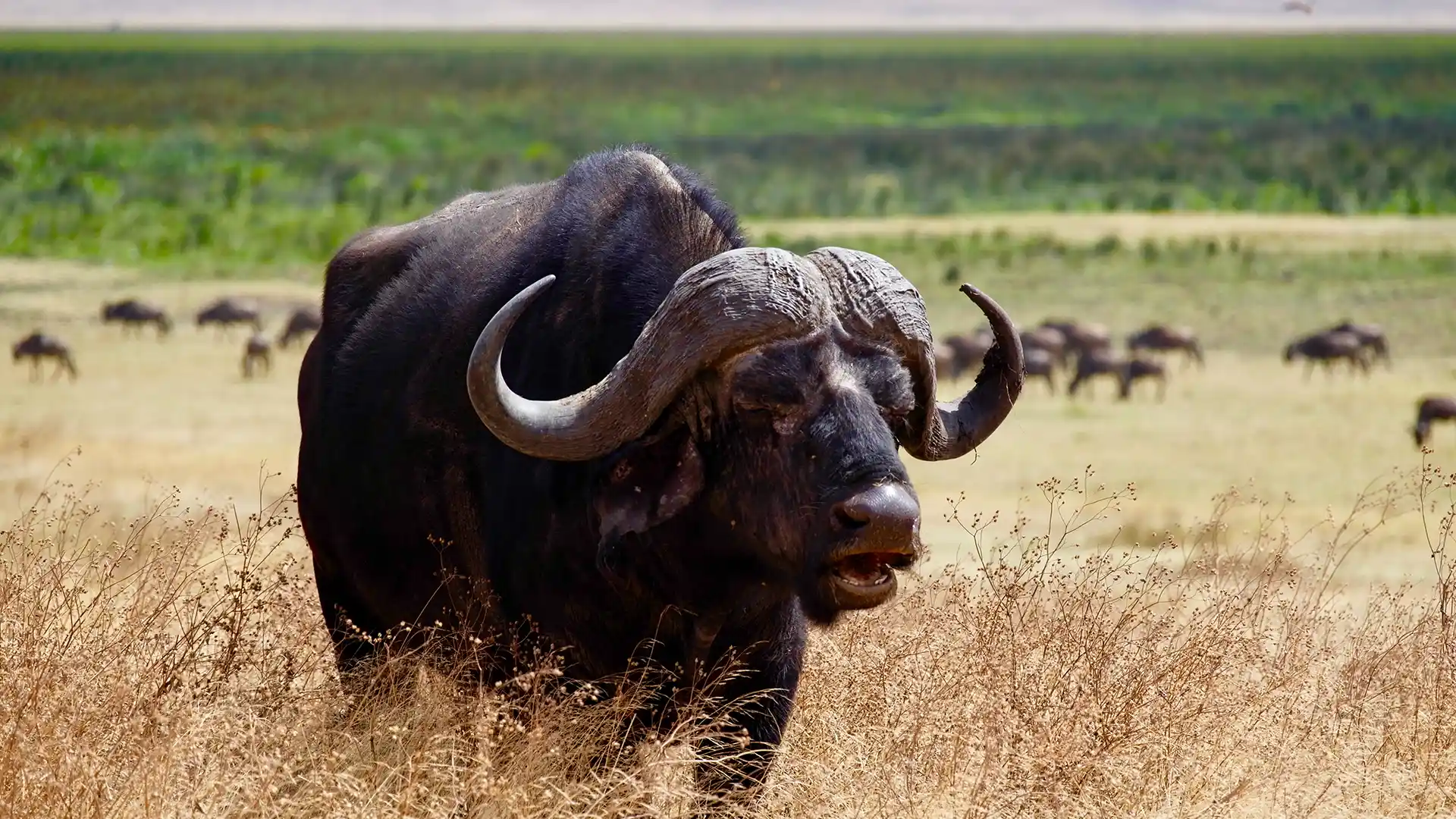 Arusha National Park