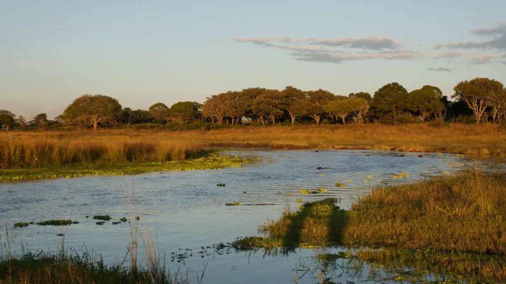 Katavi National Park