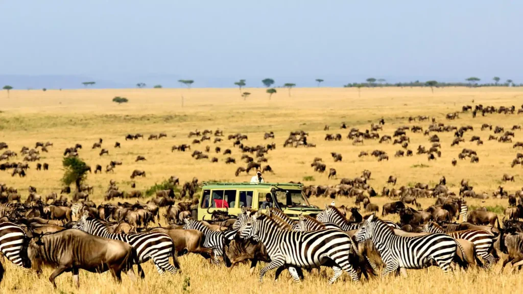 Kidepo Vlley Nation Park