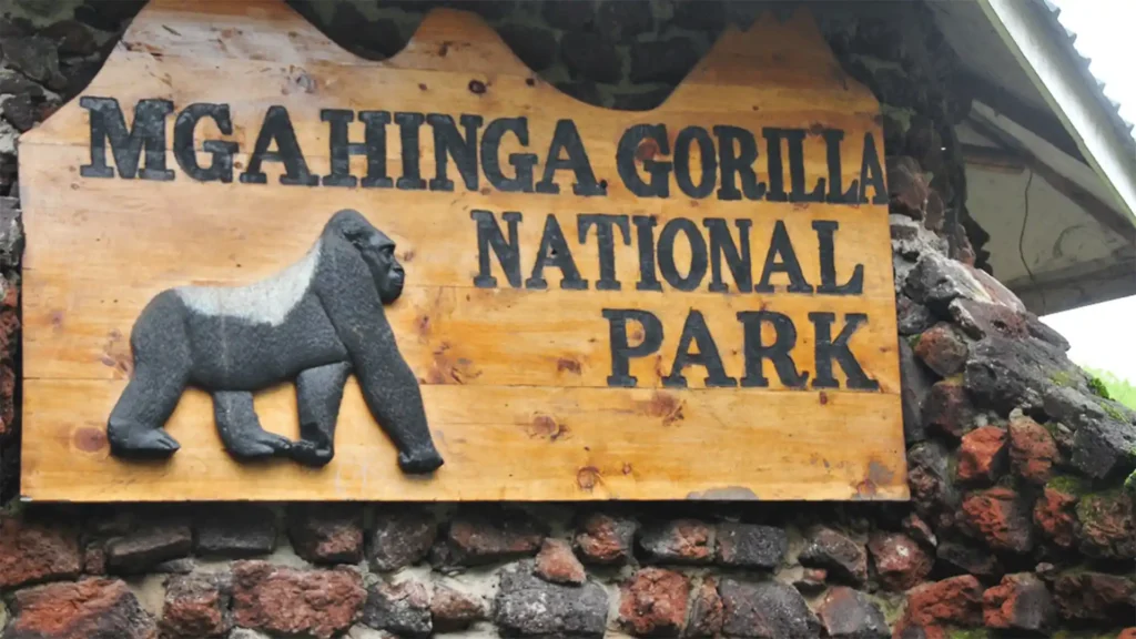 Mgahinga_Gorila National Park