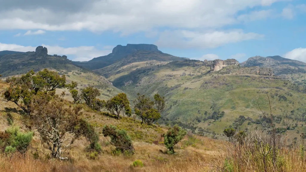 Mount Elgon