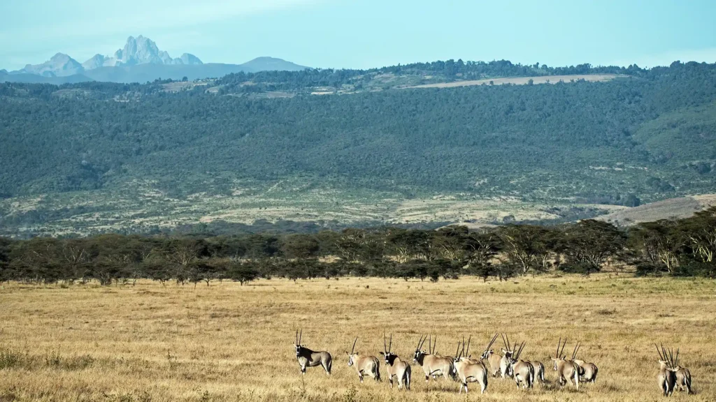 Mount Kenya