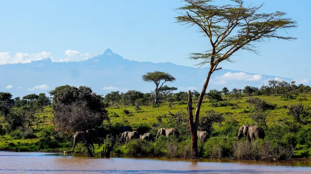 Mount Kenya