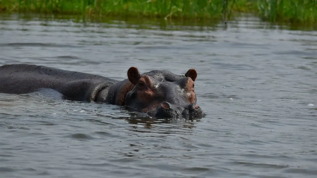 Murchison Falls National Park