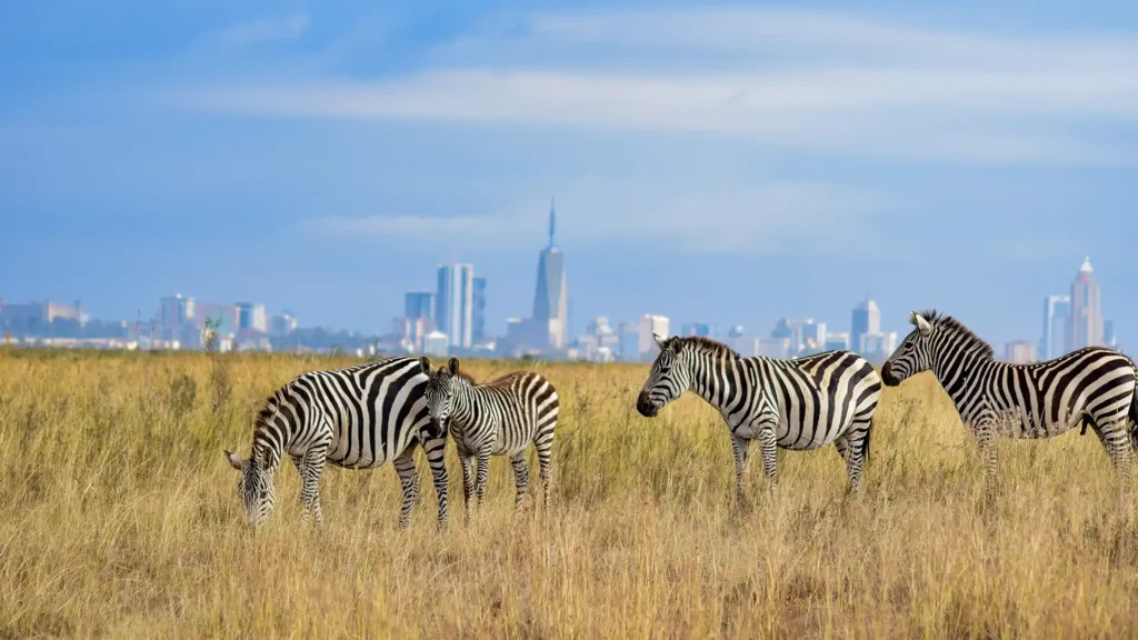 Nairobi National Park