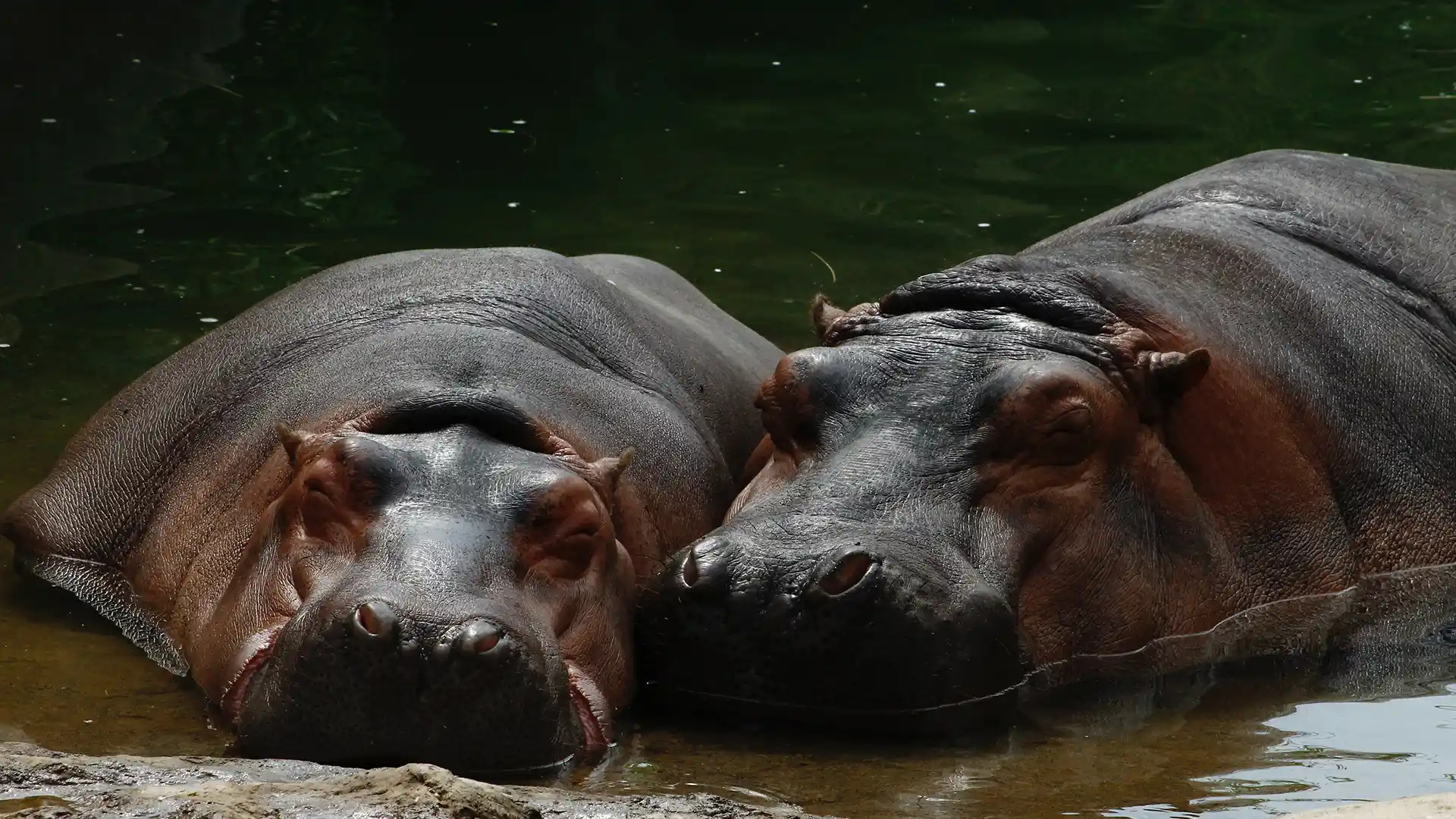 Ndere Island National Park