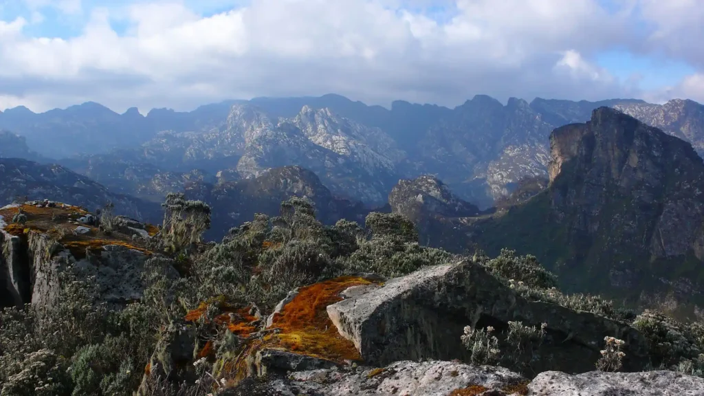 Rwenzori mountain