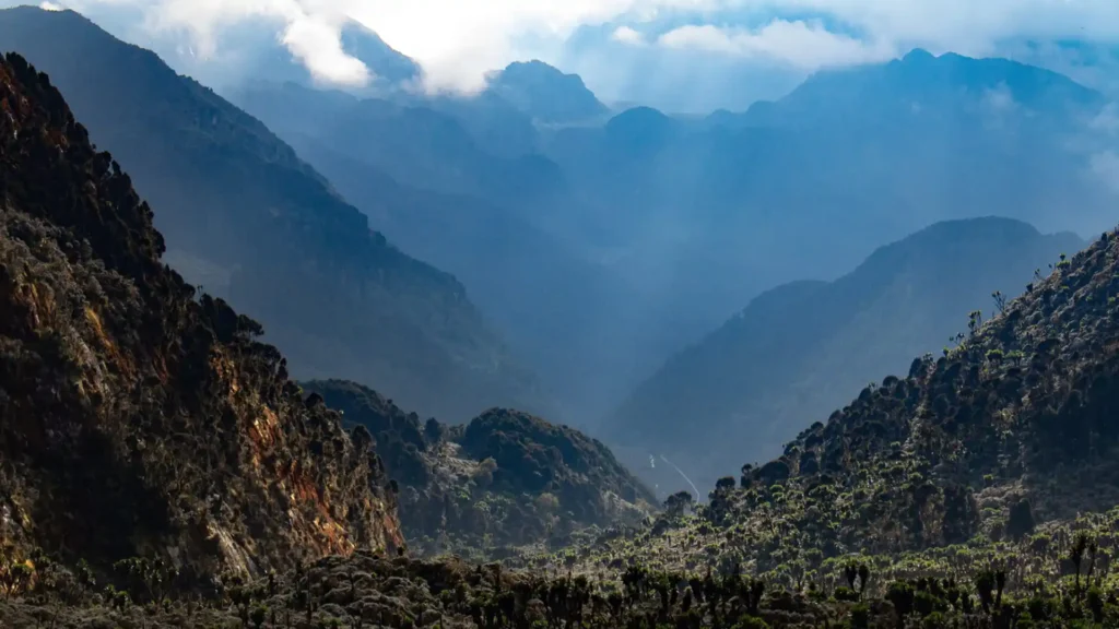 Rwenzori mountain