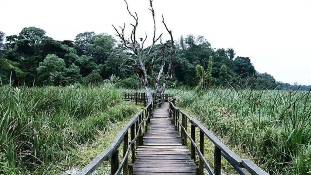 Saiwa Swamp National Park