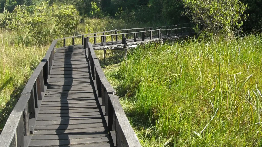 Saiwa Swamp National Park