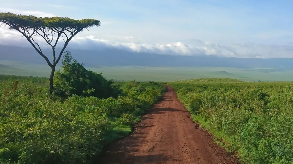 Ngorongoro Conservation