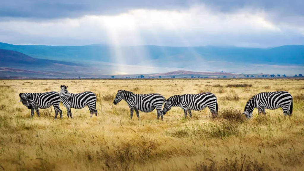 Serengeti National Park