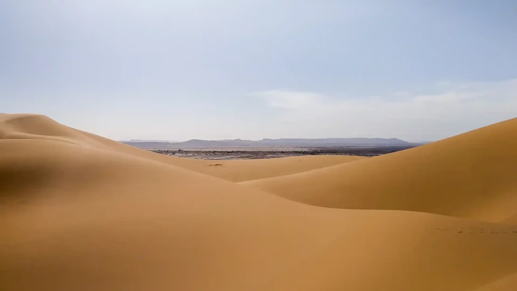 The Saharan Desert