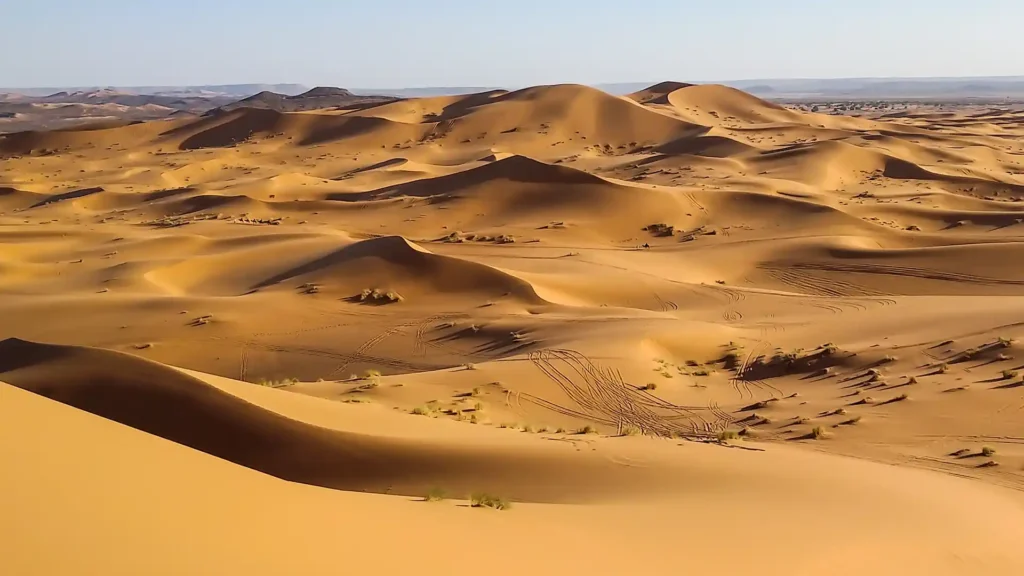 The Saharan Desert