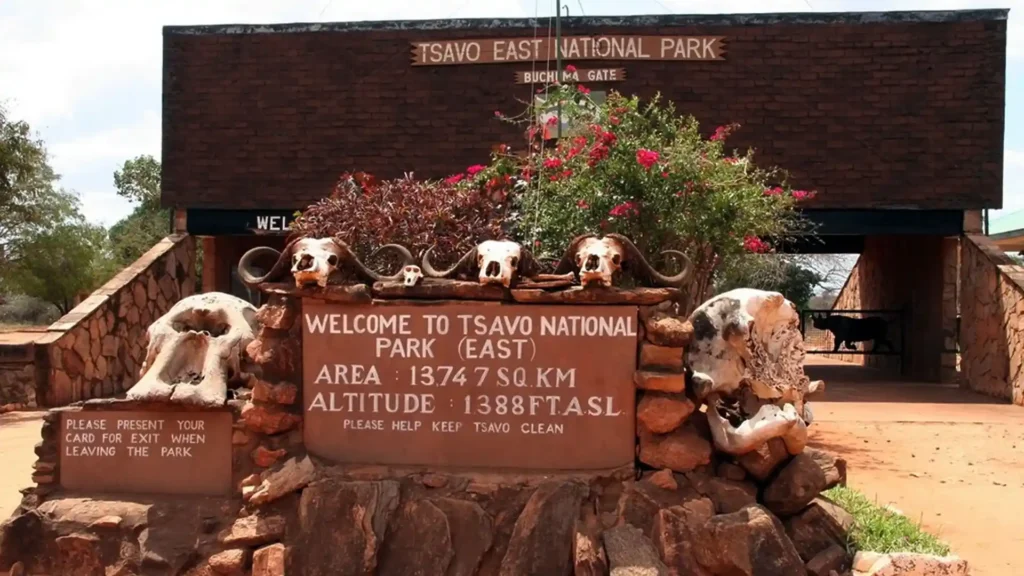 Tsavo East