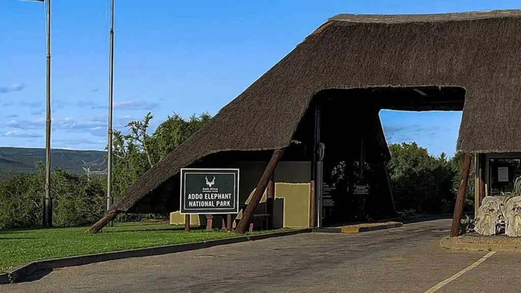 Addo Elephant National Park