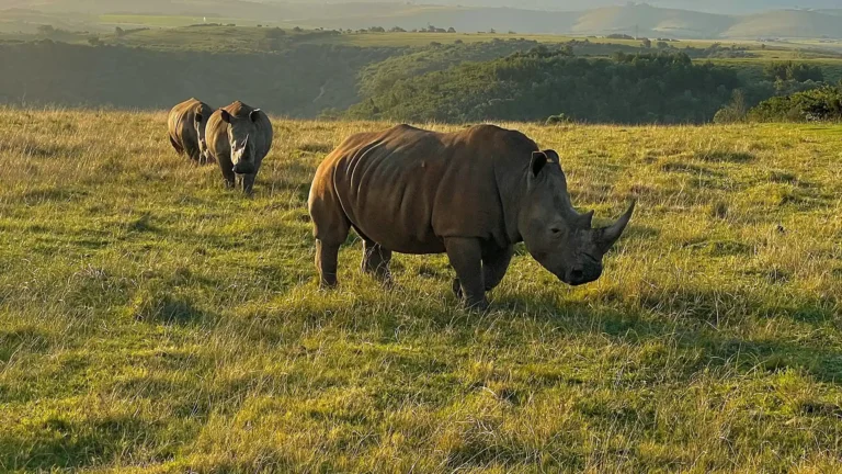 Garden Route National Park