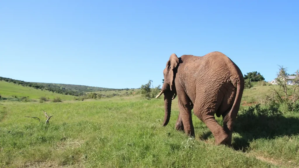 Garden Route National Park