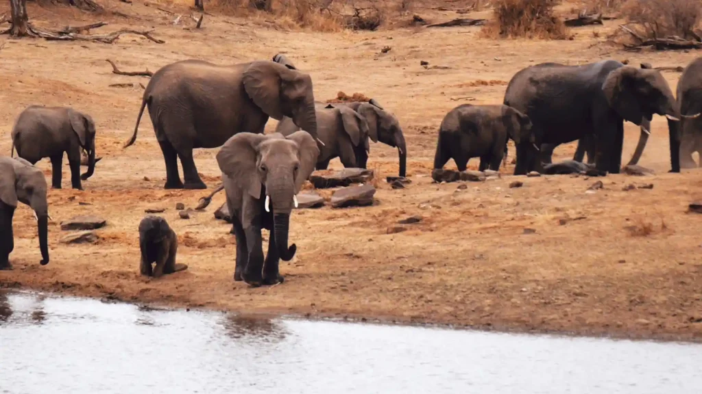 Kruger National Park