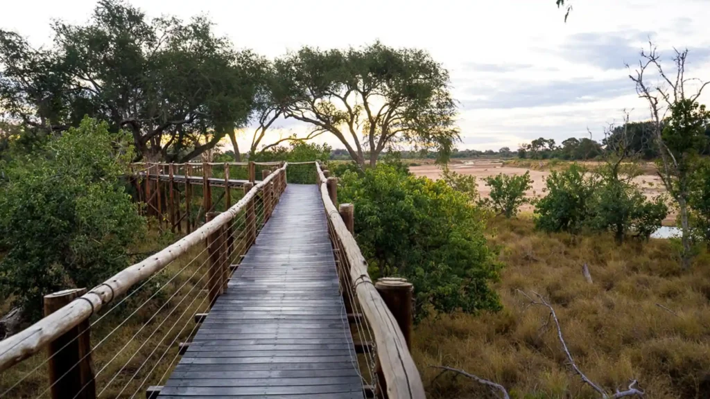 Mapungubwe National Park